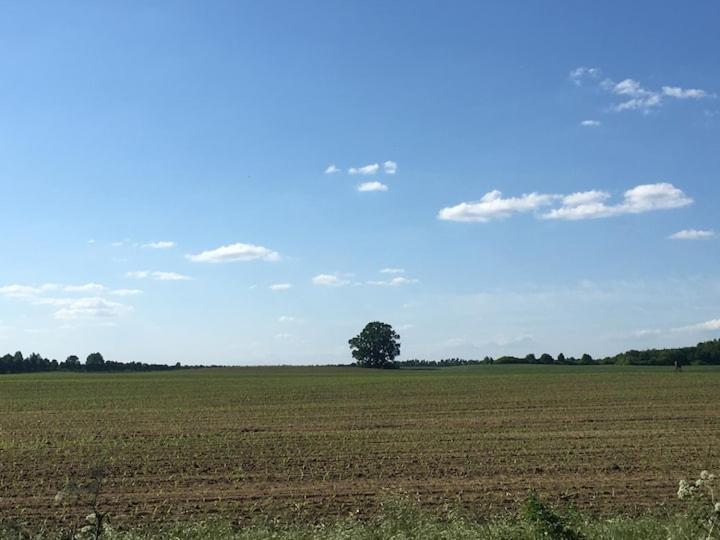 Im Naturschutzgebiet Gelegene * Templin